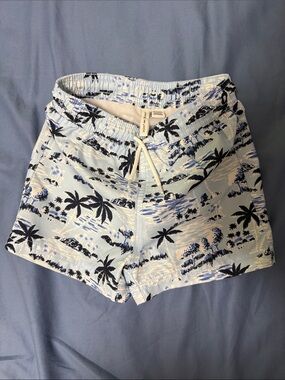 Janie and Jack Light Blue Tropical Palm Print Bathing suit